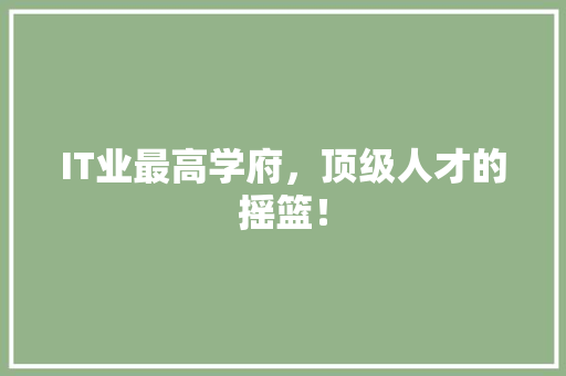 IT业最高学府，顶级人才的摇篮！ 必应SEO