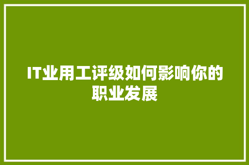 IT业用工评级如何影响你的职业发展 百度SEO