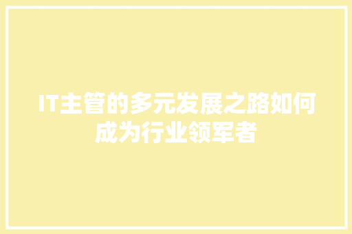 IT主管的多元发展之路如何成为行业领军者 网站建设公司