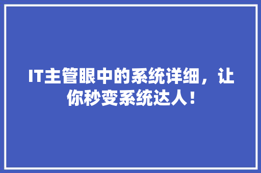 IT主管眼中的系统详细，让你秒变系统达人！ 百度SEO