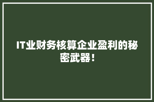 IT业财务核算企业盈利的秘密武器！