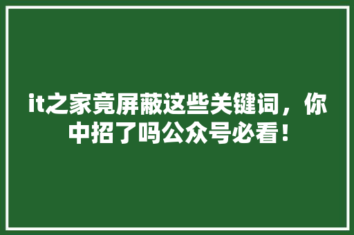 it之家竟屏蔽这些关键词，你中招了吗公众号必看！ 百度SEO
