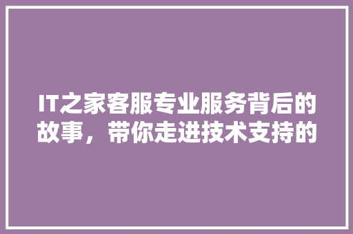IT之家客服专业服务背后的故事，带你走进技术支持的世界！ 必应SEO