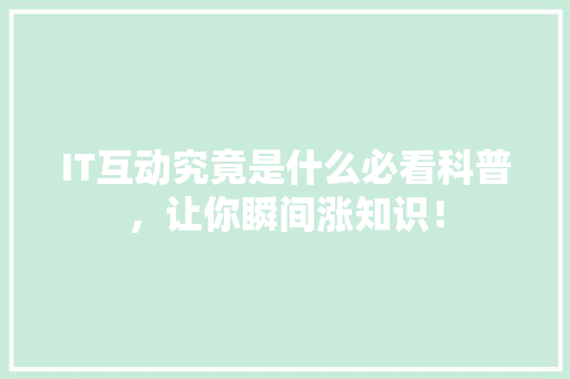 IT互动究竟是什么必看科普，让你瞬间涨知识！ SEO关键词