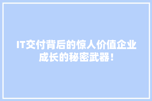 IT交付背后的惊人价值企业成长的秘密武器！ 百度SEO