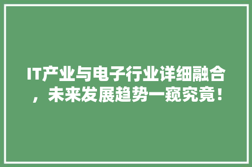 IT产业与电子行业详细融合，未来发展趋势一窥究竟！ 神马SEO