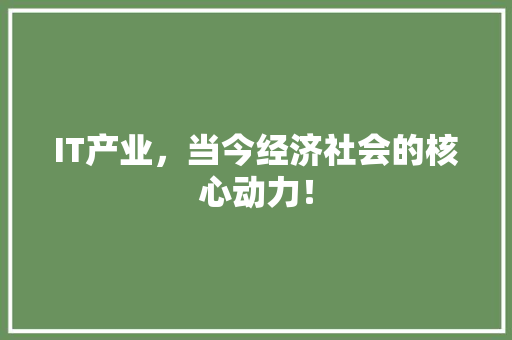 IT产业，当今经济社会的核心动力！ 百度SEO