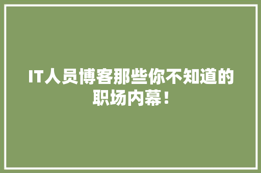IT人员博客那些你不知道的职场内幕！ 网站建设公司