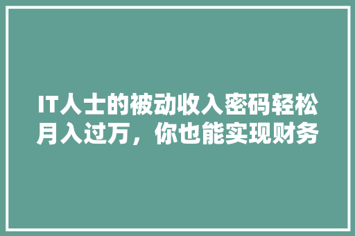 IT人士的被动收入密码轻松月入过万，你也能实现财务自由！ SEO关键词