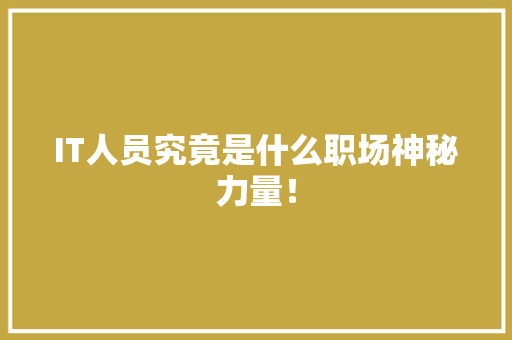 IT人员究竟是什么职场神秘力量！ 神马SEO