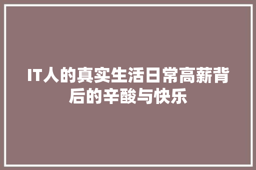 IT人的真实生活日常高薪背后的辛酸与快乐 SEO关键词