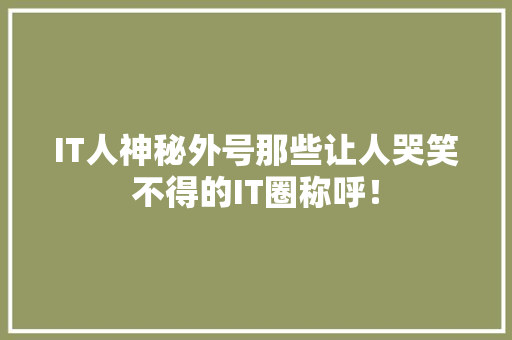 IT人神秘外号那些让人哭笑不得的IT圈称呼！ 网站建设公司
