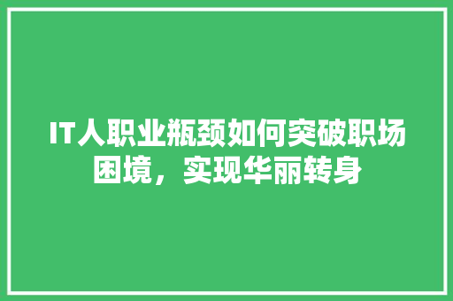 IT人职业瓶颈如何突破职场困境，实现华丽转身 必应SEO