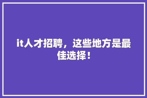 it人才招聘，这些地方是最佳选择！ SEO关键词