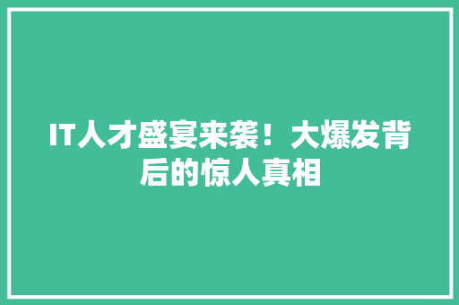 IT人才盛宴来袭！大爆发背后的惊人真相 必应SEO