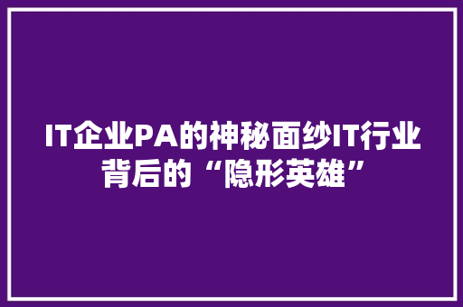 IT企业PA的神秘面纱IT行业背后的“隐形英雄” SEO关键词
