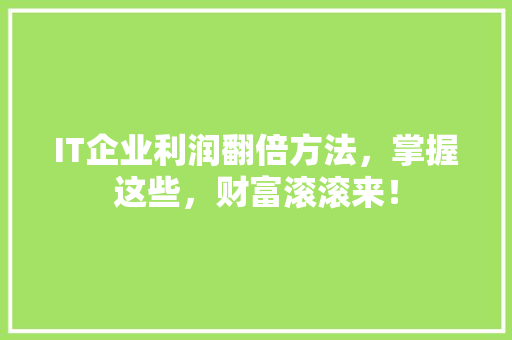 IT企业利润翻倍方法，掌握这些，财富滚滚来！ 神马SEO