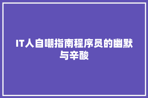 IT人自嘲指南程序员的幽默与辛酸 神马SEO