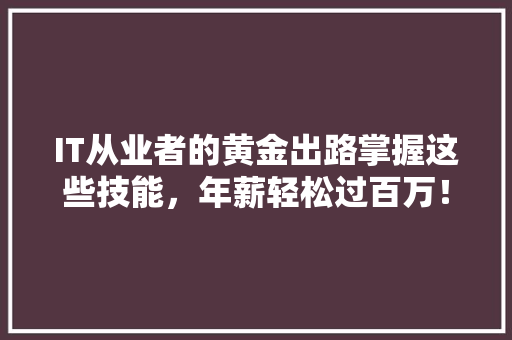 IT从业者的黄金出路掌握这些技能，年薪轻松过百万！ 百度SEO
