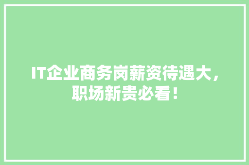 IT企业商务岗薪资待遇大，职场新贵必看！ 搜狗SEO