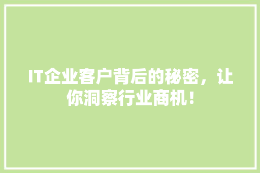 IT企业客户背后的秘密，让你洞察行业商机！ 必应SEO