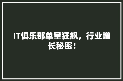 IT俱乐部单量狂飙，行业增长秘密！ 网站建设公司