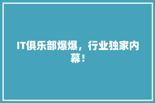 IT俱乐部爆爆，行业独家内幕！ 网站建设公司