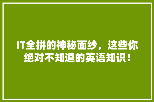 IT全拼的神秘面纱，这些你绝对不知道的英语知识！ SEO关键词