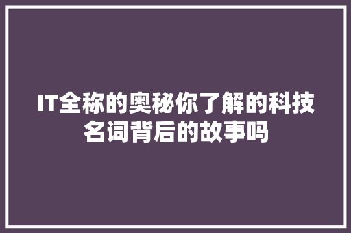 IT全称的奥秘你了解的科技名词背后的故事吗 SEO关键词