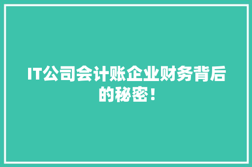 IT公司会计账企业财务背后的秘密！ 神马SEO