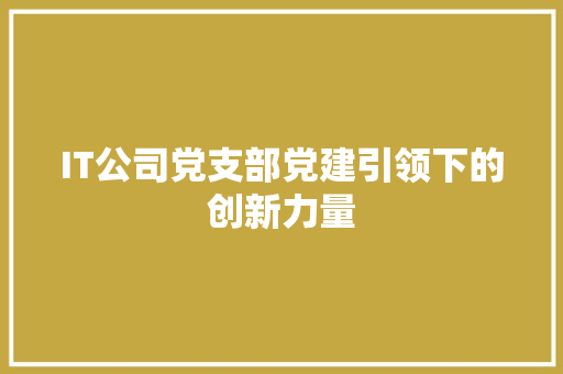 IT公司党支部党建引领下的创新力量 网站建设公司