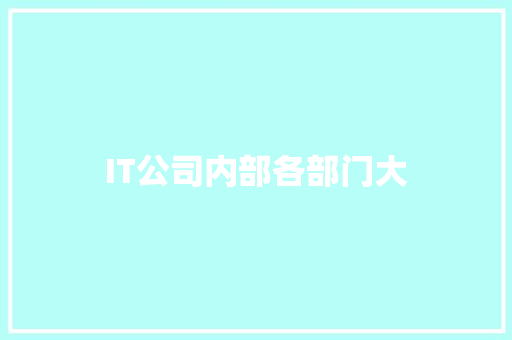 IT公司内部各部门大 必应SEO