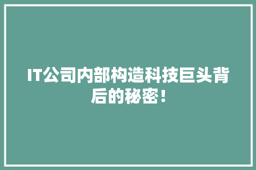 IT公司内部构造科技巨头背后的秘密！ 必应SEO
