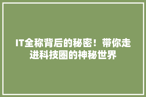 IT全称背后的秘密！带你走进科技圈的神秘世界 必应SEO