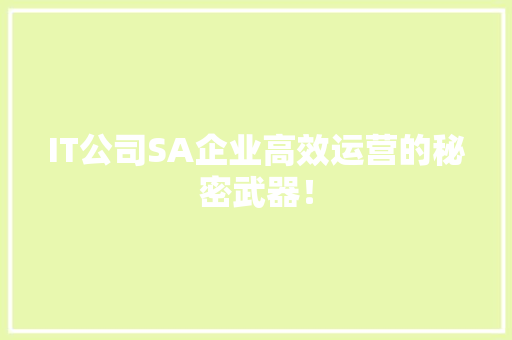 IT公司SA企业高效运营的秘密武器！ 百度SEO