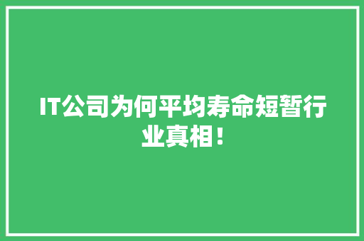 IT公司为何平均寿命短暂行业真相！ 神马SEO