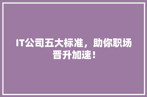 IT公司五大标准，助你职场晋升加速！ 神马SEO