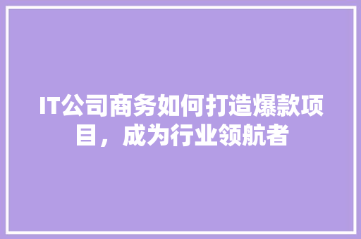 IT公司商务如何打造爆款项目，成为行业领航者 网站建设公司