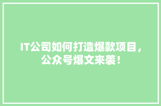 IT公司如何打造爆款项目，公众号爆文来袭！ 搜狗SEO
