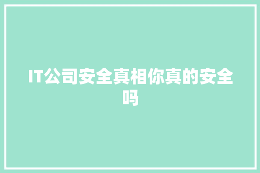 IT公司安全真相你真的安全吗 百度SEO