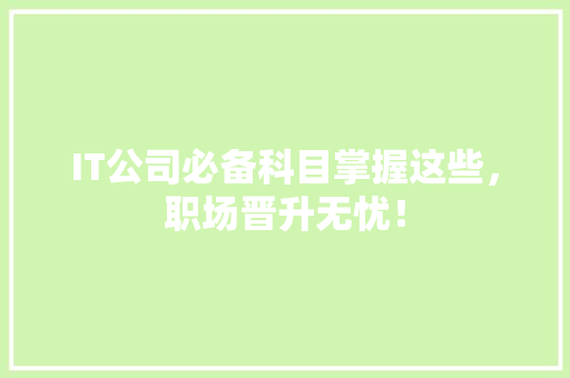 IT公司必备科目掌握这些，职场晋升无忧！ 百度SEO