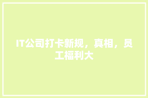 IT公司打卡新规，真相，员工福利大 必应SEO