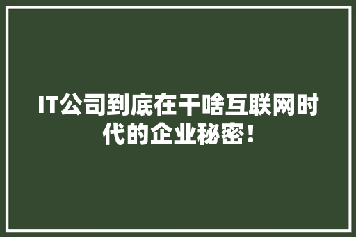 IT公司到底在干啥互联网时代的企业秘密！ 必应SEO