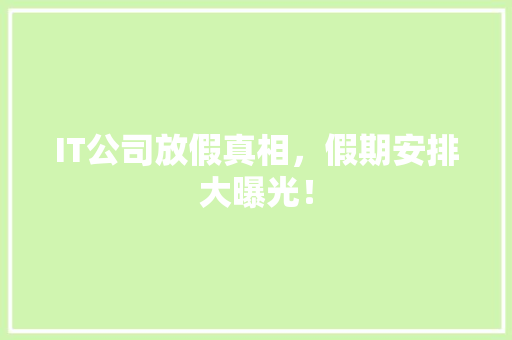 IT公司放假真相，假期安排大曝光！ SEO关键词
