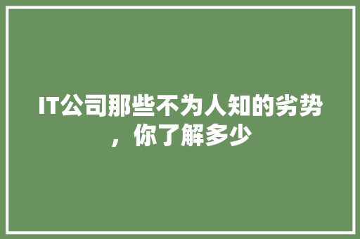 IT公司那些不为人知的劣势，你了解多少 网站建设公司