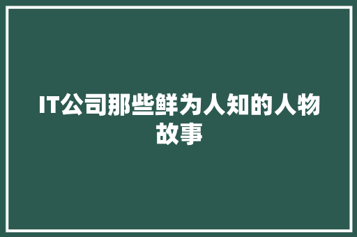 IT公司那些鲜为人知的人物故事 SEO关键词