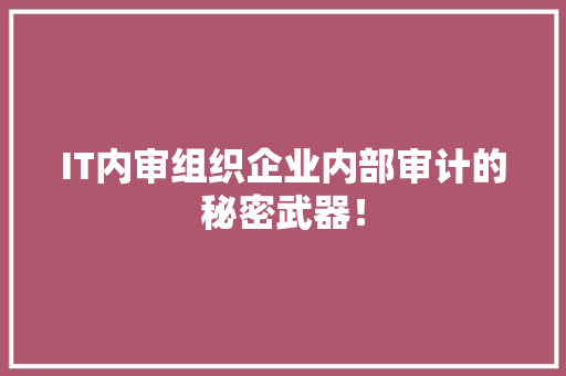 IT内审组织企业内部审计的秘密武器！