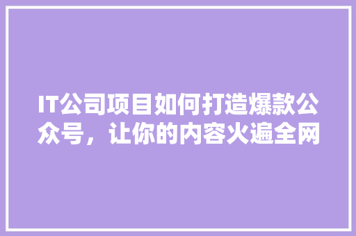IT公司项目如何打造爆款公众号，让你的内容火遍全网！ 搜狗SEO