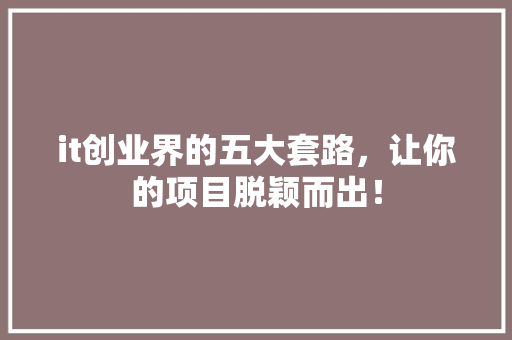 it创业界的五大套路，让你的项目脱颖而出！