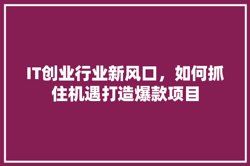 IT创业行业新风口，如何抓住机遇打造爆款项目 网站建设公司